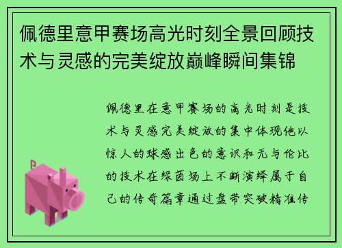 佩德里意甲赛场高光时刻全景回顾技术与灵感的完美绽放巅峰瞬间集锦