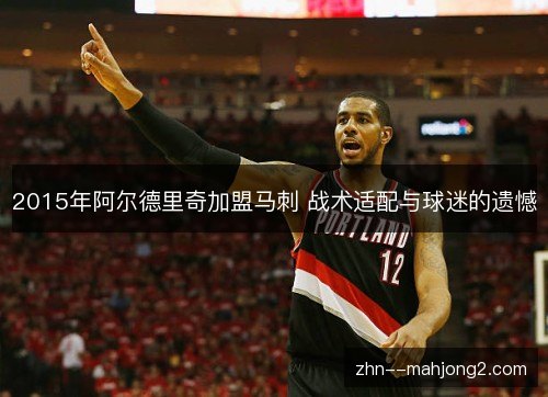 2015年阿尔德里奇加盟马刺 战术适配与球迷的遗憾 2015年阿尔德里奇加盟马刺 战术适配与球迷的遗憾